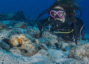 Cambie de vida, haga un curso de buceo