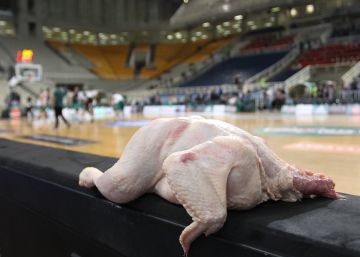 Olympiacos y el gran pollo griego