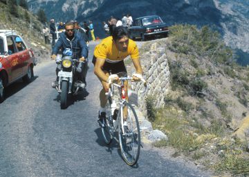 Territorio Merckx
