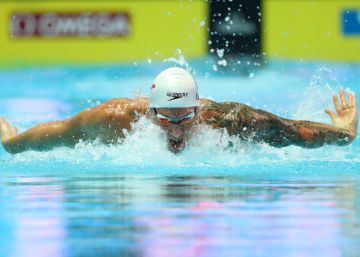 Dressel vuela sobre el muro de Phelps