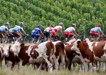 El Tour de 2023 saldrá de Euskadi
