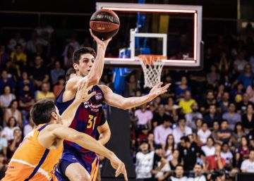 Bolmaro, el Palau també té el seu Leo