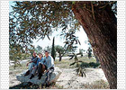 Por un campus verde y sostenible