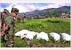 26 muertos en ataques del Ejército de Colombia contra la guerrilla