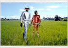Los franceses Daft Punk optan por el eclecticismo en su nuevo disco