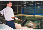 La cosecha del pescado La cosecha del pescado