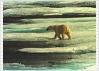 Alaska, en peligro