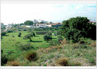 El Ayuntamiento de Rincón creará un parque de 125.000 metros cuadrados