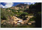 Cuatro bellezas de Guadarrama