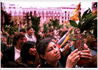 Los palmones inundan calles y plazas Los palmones inundan calles y plazas