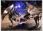 La lucha de robots-gladiadores cautiva a las audiencias de televisión de EE UU