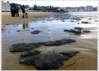 El vertido del petrolero mancha de fuel Santander y 10 playas de la costa asturiana El vertido del petrolero mancha de fuel Santander y 10 playas de la costa asturiana
