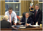 Bush: