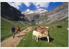 Cuatro maravillas pirenaicas en Ordesa Cuatro maravillas pirenaicas en Ordesa