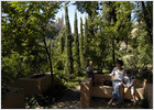 El huerto que decidió ser jardín El huerto que decidió ser jardín