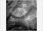 El puente más alto del mundo, visto por un microsatélite autónomo El puente más alto del mundo, visto por un microsatélite autónomo