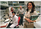Desciende el número de mujeres en puestos altos de biomedicina del CSIC
