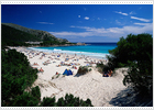 Ocho citas con el Mediterráneo