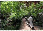Jardines en la intimidad de Madrid Jardines en la intimidad de Madrid