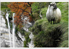 Goiuri, la cascada legendaria Goiuri, la cascada legendaria