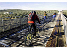 Pedaleando por la campiña olivarera Pedaleando por la campiña olivarera