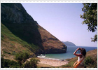 Una playa para observar buitres Una playa para observar buitres