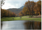 Golf con riego de lujo