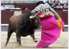 foto de la noticia