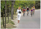 La Casa de Campo quiere ser Central Park La Casa de Campo quiere ser Central Park