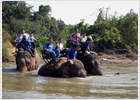 Balanceo a lomos de elefante