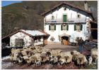 Primer frenazo en el turismo rural