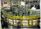 Cargill-Hojiblanca, unidos por el aceite Cargill-Hojiblanca, unidos por el aceite