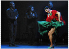 Manuela Carrasco, premiada por su inagotable fuerza flamenca