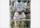 El Pentágono pide la pena de muerte para seis presos de Guantánamo El Pentágono pide la pena de muerte para seis presos de Guantánamo