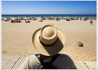 Cartelera para un verano sin fin Cartelera para un verano sin fin