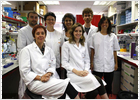 Ataque español al melanoma Ataque español al melanoma