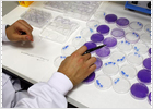 Demasiados conflictos de interés en investigaciones sobre cáncer
