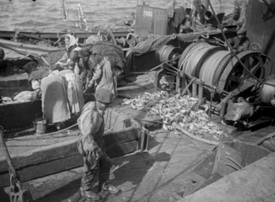 FOTOGALERIA: Desembarco y lavado del pescado