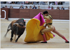 Vitoria, capital de la pelota Vitoria, capital de la pelota