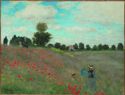 FOTOGALERIA: Campo de amapolas