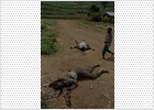 Naciones Unidas ve indicios de genocidio contra los hutus en Congo