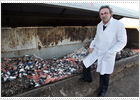 Cerco a la fábrica del mal olor Cerco a la fábrica del mal olor