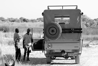 FOTOGALERIA: Safari en Moremi