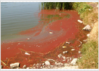Un vertido ilegal ensucia un lago de pesca en Leganés