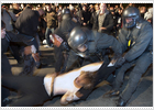 Choques entre la policía y los manifestantes en las protestas del 1 de mayo en Grecia