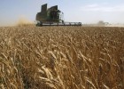 50 años de cambio en el campo 50 años de cambio en el campo