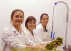 A la rica alga… ‘delicatessen’