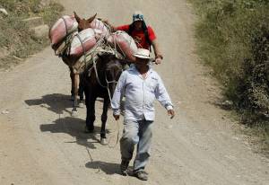 Fotografía de operarios de la empresa Sanadores Ambientales trabajando en su planta ubicada en la población de Salgar, Antioquia.