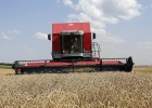 El conflicto de Ucrania empuja el precio internacional de los cereales El conflicto de Ucrania empuja el precio internacional de los cereales