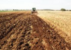 Una hectárea por 2.500 euros Una hectárea por 2.500 euros